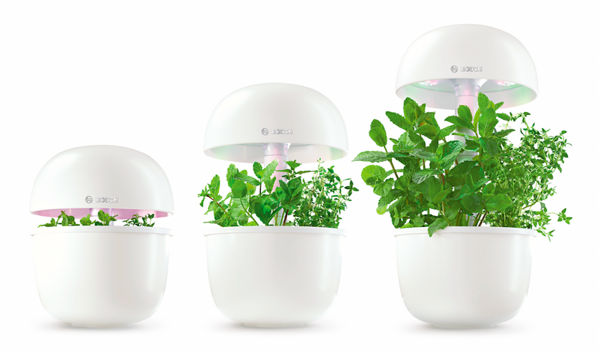 SmartGrow Bosch_Home Fashion News