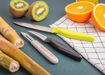 Nogent canne a sucre