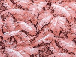 CARPET SOCIETY