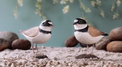 WILDLIFE GARDEN GWG4449_DecoBird_LittleRingedPlover_Lifestyle