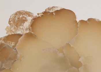 drp_atelier_Alain_Ellouz_COLLECTION_VESUVE_TABLE 3.B_CREDIT_REGIS_BAUDONNET