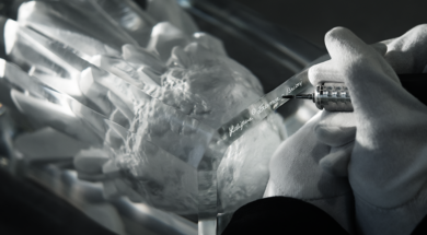 BRIONI x LALIQUE