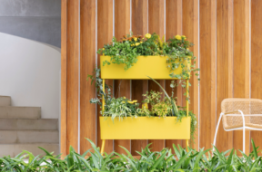 Maiori étend son univers outdoor avec les collections Huggy et Greens