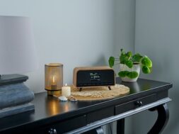 RT850DABBT_LF03