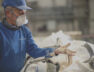 Villeroy & Boch distingué par la médaille EcoVadis Platine _1