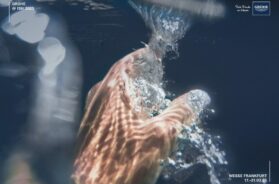 GROHE-a-lISH-2025-1-1024×723-1