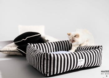 Maisons du Monde x Choupette, une collaboration couture pour félins
