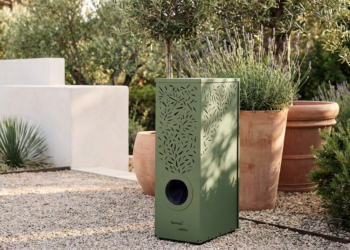 MOJO Cactus et pots
