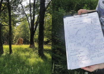Jean Dubost orchestre un projet biodiversité au cœur de son village