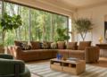 Drp_Habitat_SALON_FP