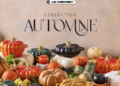 LE CREUSET AUTOMNE